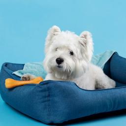Beds & Comfort