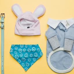 Clothing & Accessories