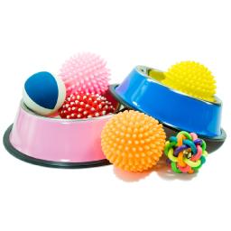 Toys & Enrichment