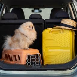 Travel & Outdoor Gear