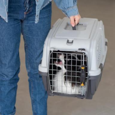 Air Travel Boxes