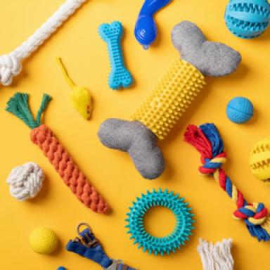 Chew Toys
