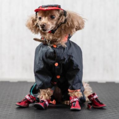 Fashion & Seasonal Shoes