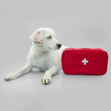 First Aid & Medical Supplies