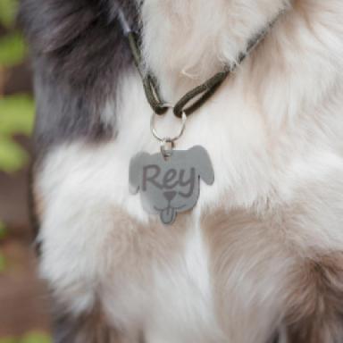 ID Tag Collars