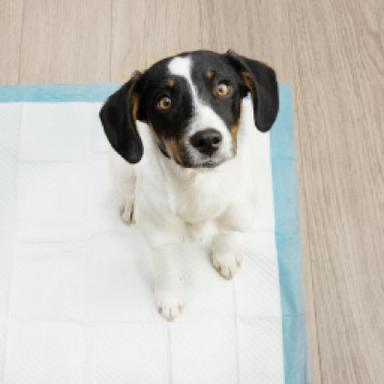 Incontinence & Marking Solutions