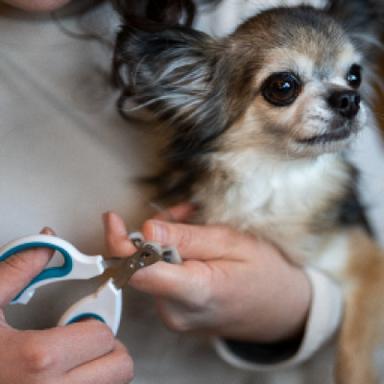 Nail Clippers & Grinders