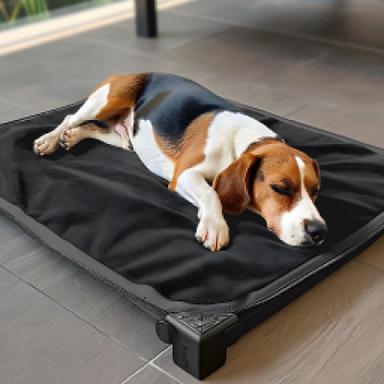 Pet Beds