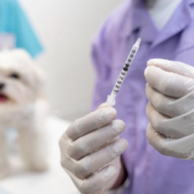 Prescriptions & Vaccines
