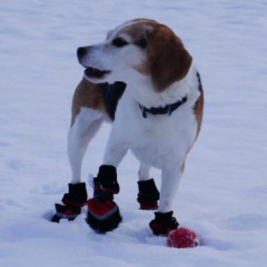 Protective Boots