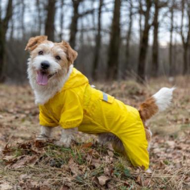 Raincoats & Windbreakers