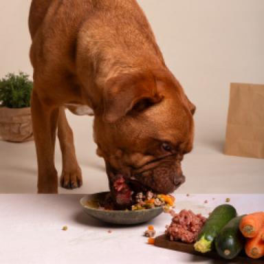 Raw & Freeze-Dried Food