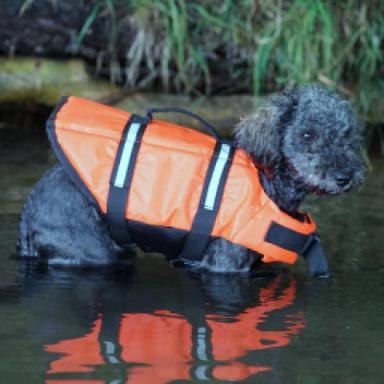 Reflective & Safety Vests