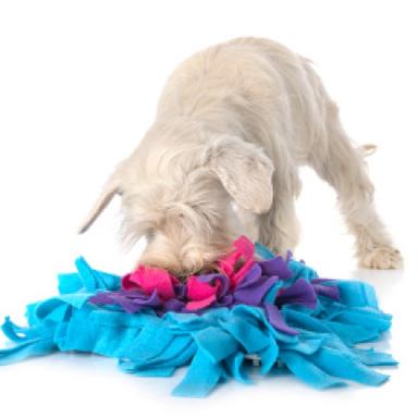Snuffle Mats