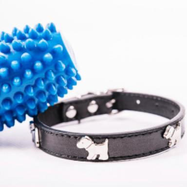 Standard Collars