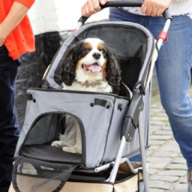 Strollers