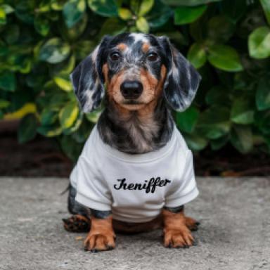 T-Shirts & Tank Tops