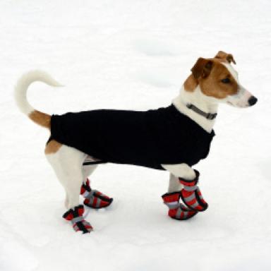 Traction Grips & Socks