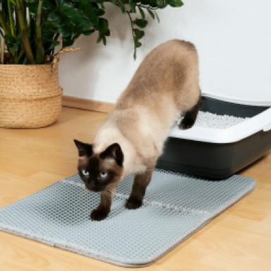 Training Pads & Litter Boxes